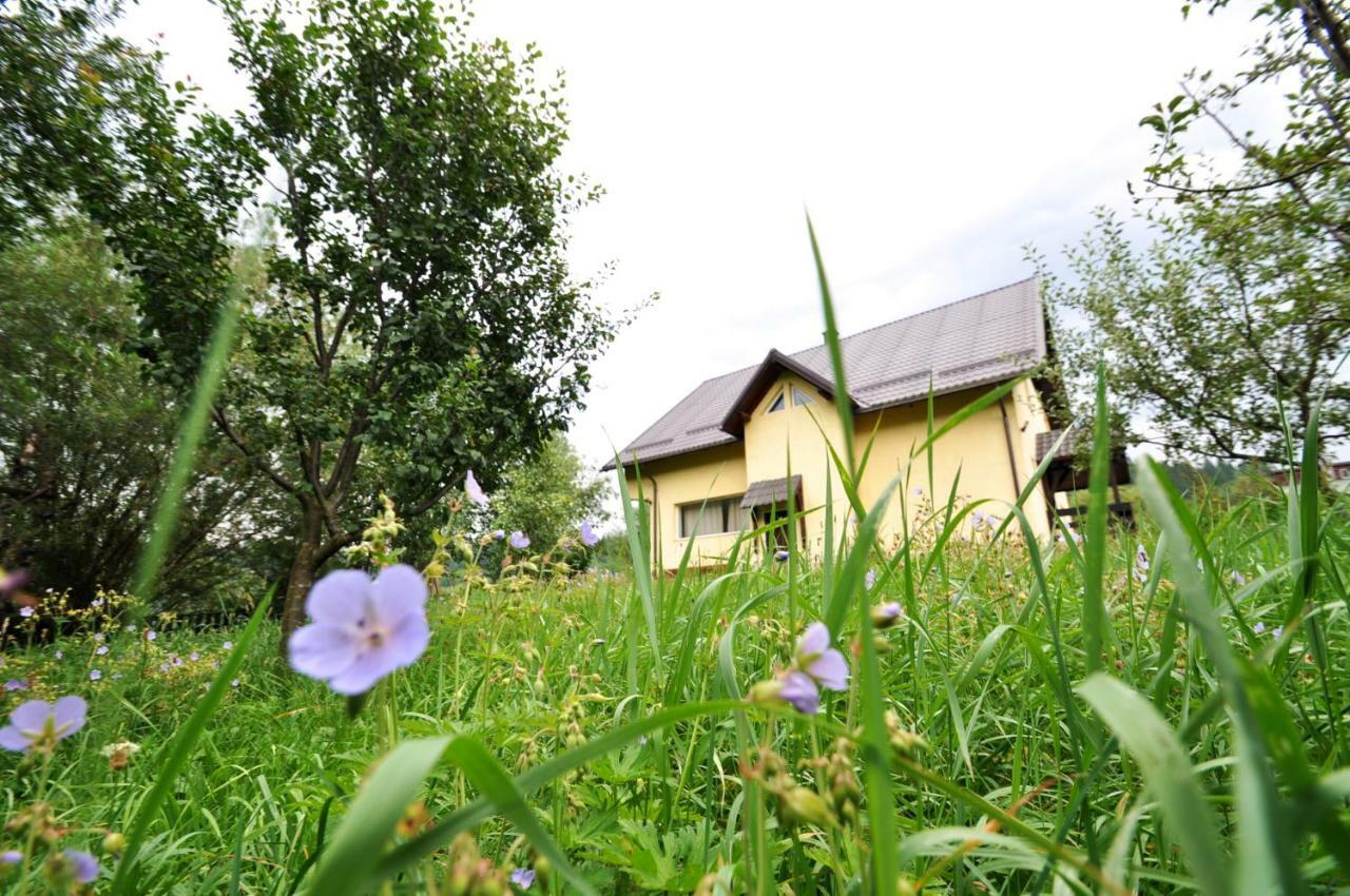 Casa Mirea Bran (Brasov) Exterior foto